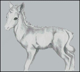 (image for) Baby Unicorn